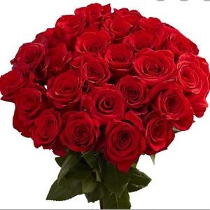 Meet your Posher, Jamisha